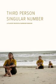 Third Person Singular Number 2009 on netflix