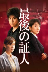 The Last Witness 2015 on netflix