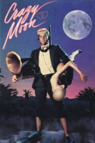 Crazy Moon 1987 on netflix
