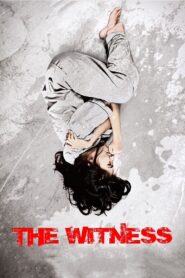 The Witness 2012 on netflix