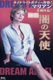 Dream Angel 2001 on netflix