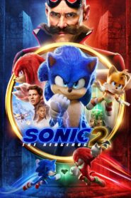 Sonic the Hedgehog 2 2022 on netflix