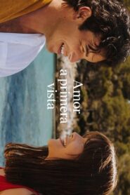 Love At First Sight 2021 on netflix
