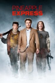 Pineapple Express 2008 on netflix