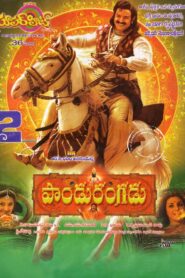 Pandurangadu 2008 on netflix
