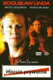 Private Town 1994 on netflix