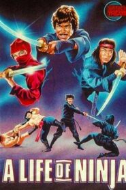 Deadly Life of a Ninja 1983 on netflix