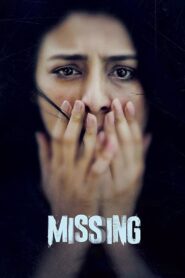 Missing 2018 on netflix