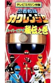 Ninja Sentai Kakuranger Super Video: The Hidden Scroll 1995 on netflix