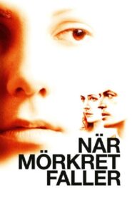 When Darkness Falls 2006 on netflix
