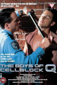 The Boys of Cellblock Q 1992 on netflix