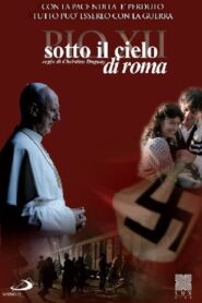 Pope Pius XII 2010 on netflix