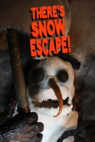 There’s Snow Escape! 2022 on netflix