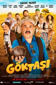 Göktaşı 2018 on netflix