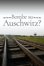 1944: Should We Bomb Auschwitz? 2019 on netflix