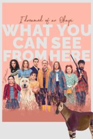 What You Can See from Here 2022 on netflix