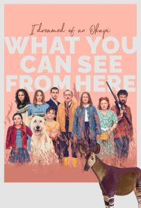 What You Can See from Here 2022 on netflix