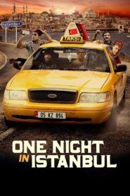 One Night in Istanbul 2014 on netflix