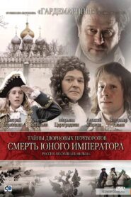 Secrets of Palace coup d’etat. Russia, 18th century. Film №6. The Death of the Young Emperor 2003 on netflix