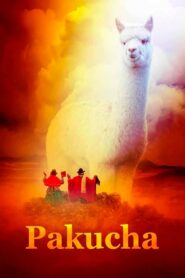 Pakucha 2021 on netflix