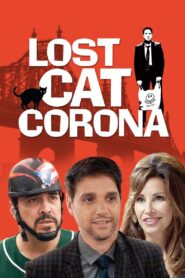Lost Cat Corona 2017 on netflix