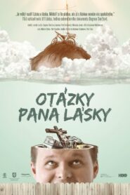 Otázky pana Lásky 2013 on netflix