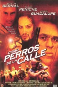 Como Perros de la Calle 2002 on netflix