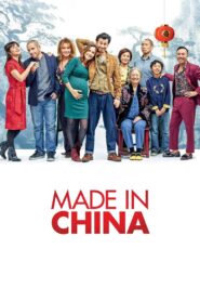 Made in China 2019 on netflix
