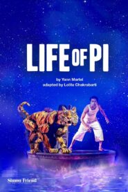 National Theatre Live: Life of Pi 2023 on netflix