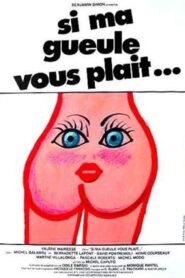 Si ma gueule vous plaît… 1981 on netflix