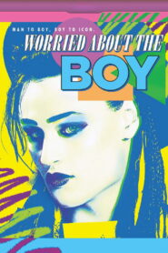 Worried About the Boy 2010 on netflix
