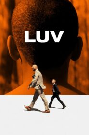 LUV 2013 on netflix