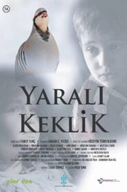Yaralı Keklik 2019 on netflix