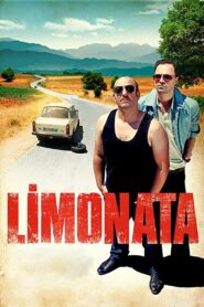 Lemonade 2015 on netflix