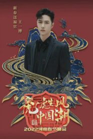 2022河南春晚 虎虎生风中国潮 2022 on netflix