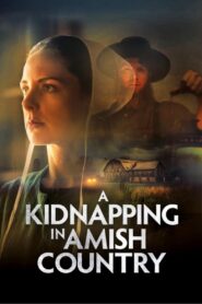 A Kidnapping in Amish Country 2024 on netflix