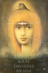 King Thrushbeard 1984 on netflix