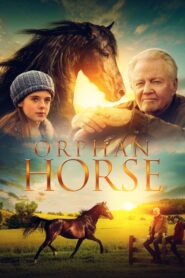 Orphan Horse 2018 on netflix
