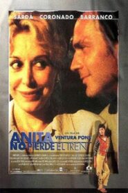 Anita Takes a Chance 2001 on netflix