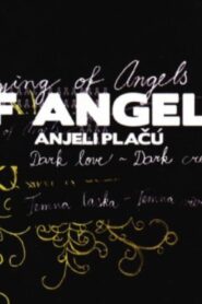 Crying of Angels 2005 on netflix