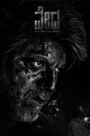 Vedha 2022 on netflix