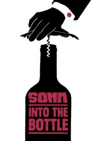 Somm: Into the Bottle 2015 on netflix