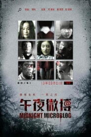 Midnight Microblog 2013 on netflix