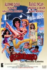 The Neighborhood 1981 on netflix