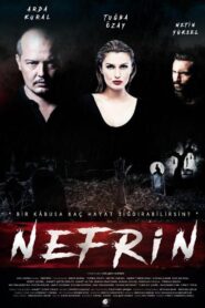 Nefrin 2017 on netflix