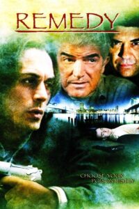 Remedy 2005 on netflix