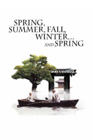 Spring, Summer, Fall, Winter… and Spring 2003 on netflix