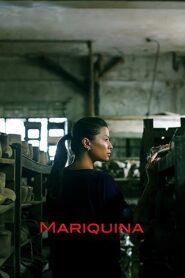 Mariquina 2014 on netflix