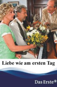 Liebe wie am ersten Tag 2005 on netflix