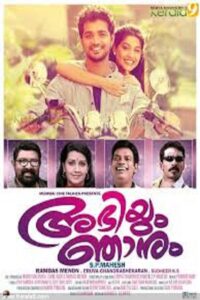Abhiyum Njanum 2013 on netflix